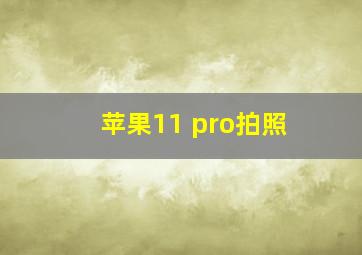 苹果11 pro拍照